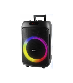 ALTAVOZ KARAOKE TREVI XF380KB 50W SPKRAWTROLLEY