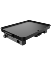 PLANCHA DE ASAR CECOTEC 01750 MAGNET 1800