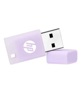 USB 20 HP 64GB v168 LILA