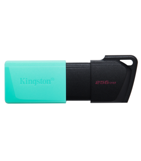 USB 32 KINGSTON 256GB DATATRAVELER EXODIA M NEGRO