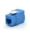 PRESA KEYSTONE WP CAT.6A UTP, TOOLLESS, COLOR AZUL