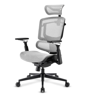 SILLA SHARKOON OFFICEPAL C50M NEGRA