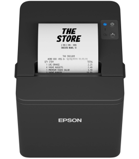 EpsonTM T20IV101 USBSerialPSBlkEU