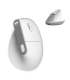 RATON SUBBLIM NATURE VERTICAL ERGO DUAL BATTERY WHITE